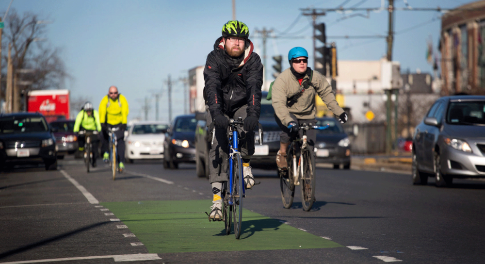 Cyclists ride down Commonwealth Avenue